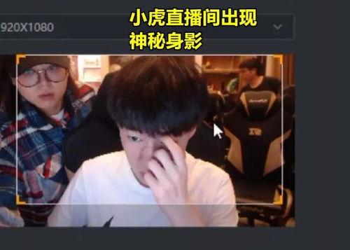 朋哥爆料视频完整版下载,揭秘幕后真相，带你走进事件全貌